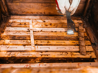 Beekeeper lifting off frame with honeycomb beehive. Inspection of the state and conditions of bee...