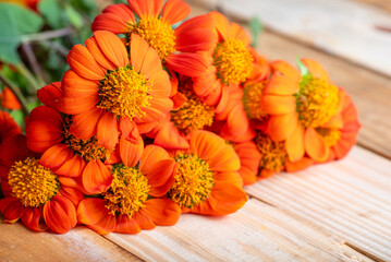 Orange flower, beautiful orange flower in detail with light background on rustic wood, selective focus