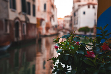 Tranquil canal in Venice, Italy with picturesque buildings, flowers, and greenery. Serene atmosphere captures the essence of Venice. Ideal for travel, tourism, and relaxation concepts.