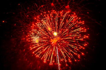 Beautiful red fireworks sparkle in the sky. Selective focus.
