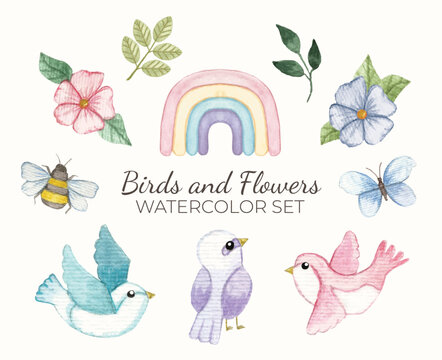 Coleção de ilustrações de pássaros, flores e insetos em aquarela 