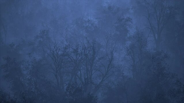 A night forest shrouded in a mystical fog