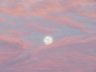 Naklejka na ściany i meble Full moon with light blue sky and pink and purple clouds