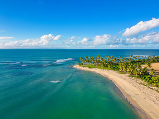 Aerial panoramic view of wild beach with green palm trees on the shore. Beautiful landscape with...
