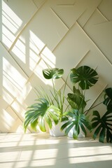 Plants in Pots. A Lush Green Oasis Bringing Nature Indoors