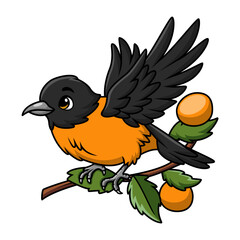 Cute baltimore oriole bird cartoon on white background