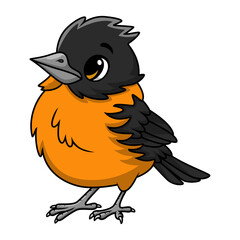 Cute baltimore oriole bird cartoon on white background