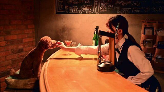 バーカウンターで食事する犬