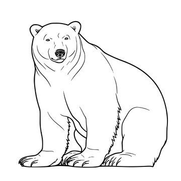 Polar Bear Svg