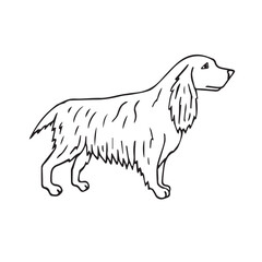 Vector hand drawn doodle sketch spaniel dog isolated on white background