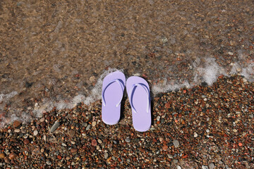 Stylish violet flip flops on beach pebbles, top view