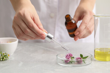Obraz na płótnie Canvas Scientist developing cosmetic oil at light grey table, closeup