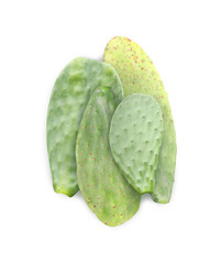 Beautiful Opuntia cactus leaves on white background, top view