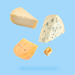 Different kinds of cheese falling on light blue background