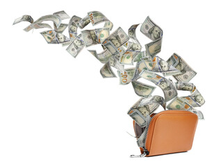 Dollar banknotes flying out from purse on white background