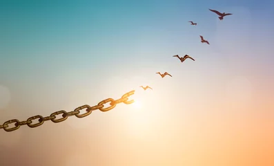 Foto op Plexiglas Silhouettes of broken chain and birds flying in sky © paul