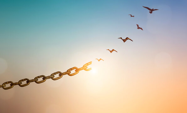 Silhouettes of broken chain and birds flying in sky