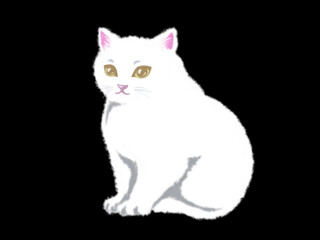 座る白猫のイラスト（黒背景）
