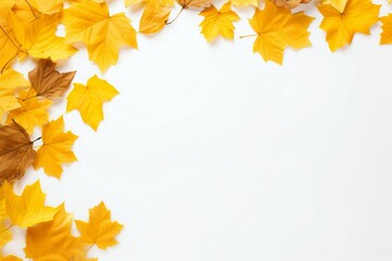 Naklejka na ściany i meble autumn leaves border on sheet