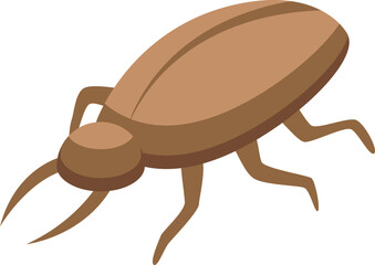 Bug insect icon isometric vector. Pupa transformation. Moth biology bug