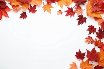 Naklejka na ściany i meble autumn falling leaves border background with white colour