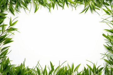 green grass frame with white background