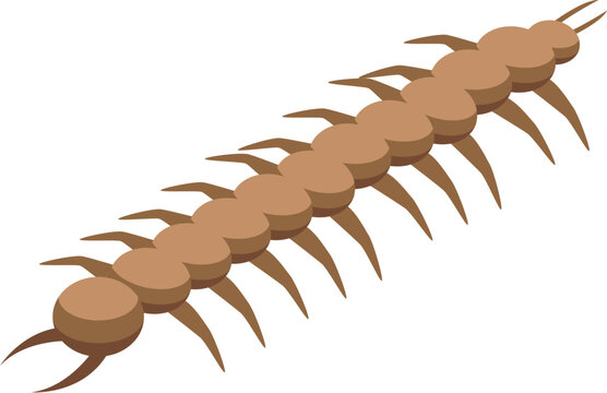 Dein erster eigener Gemüsegarten