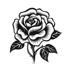 Rose flower woodcut drawing vector.