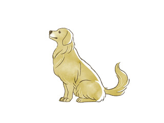 おすわりしているゴールデンレトリバー
