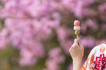 Hand of Japanese woman in traditional kimono dress holding sweet hanami dango dessert while walking in the park at cherry blossom tree during spring sakura festival