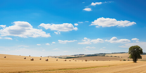 Fototapeta na wymiar Beautiful French France landscape - fields
