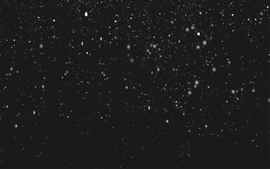 Flying dust particles on a black background. white flying motion on black background, Romantic flying flower petal backdrop, Particles Flying on black