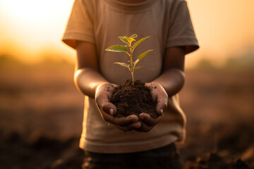 A child holding a young plant on hands with sun light background. - obrazy, fototapety, plakaty