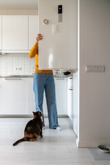 Hungry curious fluffy cat begging for food from refrigerator sitting on floor on kitchen in modern...