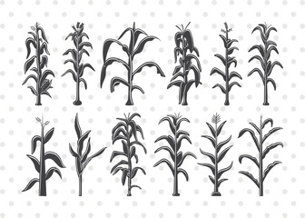 
corn stalk svg, corn stalk clipart, corn tree svg, corn svg, corn stalk icon, corn lover svg, corn life svg, corn stalk bundle,
clipart, outline, silhouette, svg cricut, svg cut file,