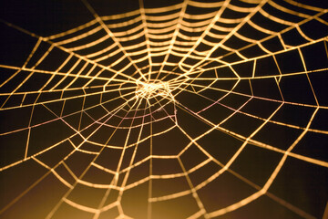 A colourful spider web