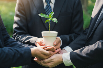 Earth Day Environmental, Business hands holding a plant pot with green plants in the ground...