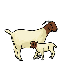 Mother Boer goat with her child