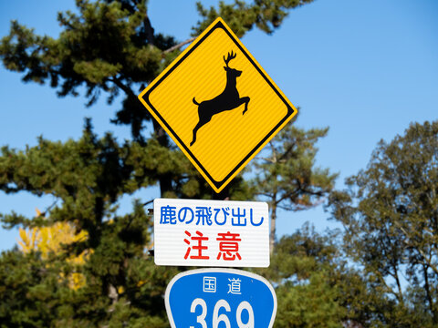道路標識。本標識(警戒標識)「動物が飛び出すおそれあり」と、「鹿の飛び出し注意」と書かれた補助標識。
