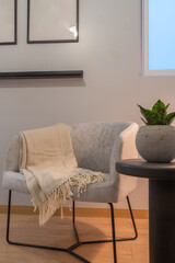 Interior of living room with a single chair and cactus