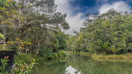 Fototapeta na wymiar The river flows calmly in a tropical rain forest. Circles on the water. Lush green vegetation on the banks. Blue sky, clouds. Madagascar. Vakona Forest Reserve. 