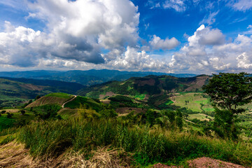 Panoramic nature background On a high mountain, you can see the scenery of trees, grass, and lush rice fields. While traveling on an adventure trip