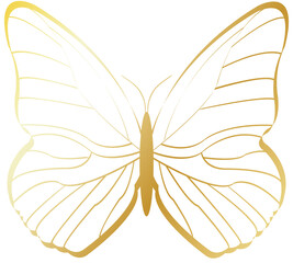 golden butterfly transparent background