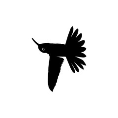 Flying Hummingbird Silhouette, can use Art Illustration, Website, Logo Gram, Pictogram or Graphic Design Element. Vector Illustration
Category
Animals
