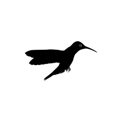 Flying Hummingbird Silhouette, can use Art Illustration, Website, Logo Gram, Pictogram or Graphic Design Element. Vector Illustration