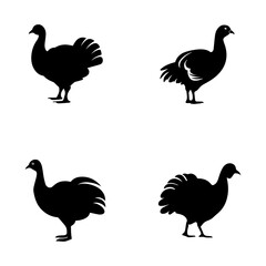 silhouette of a turkey