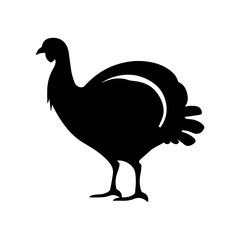 silhouette of a turkey