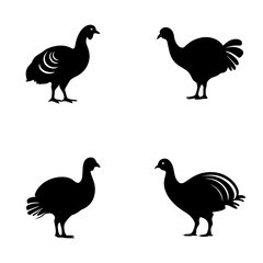 silhouette of a turkey