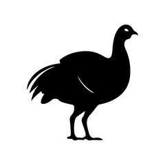 Fototapeta na wymiar silhouette of a turkey