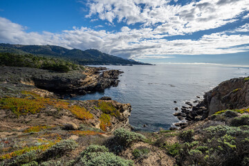 Fototapeta na wymiar Point Lobos